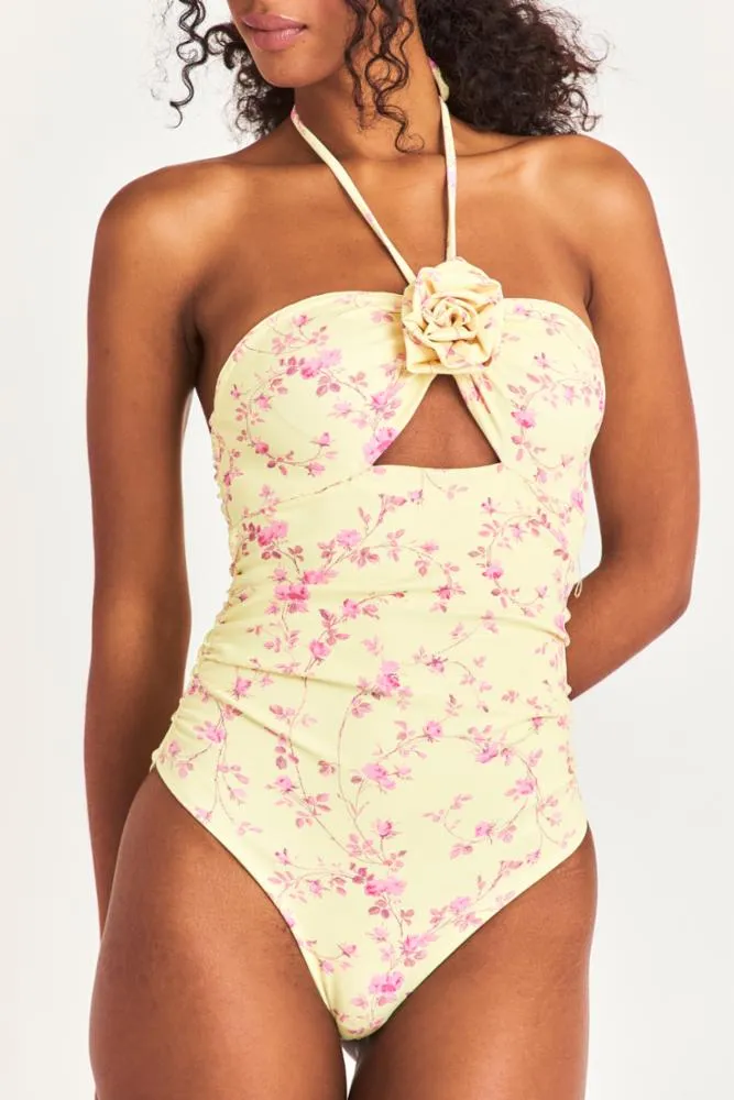 Didi One-Piece Floral Print Halter Swimsuit