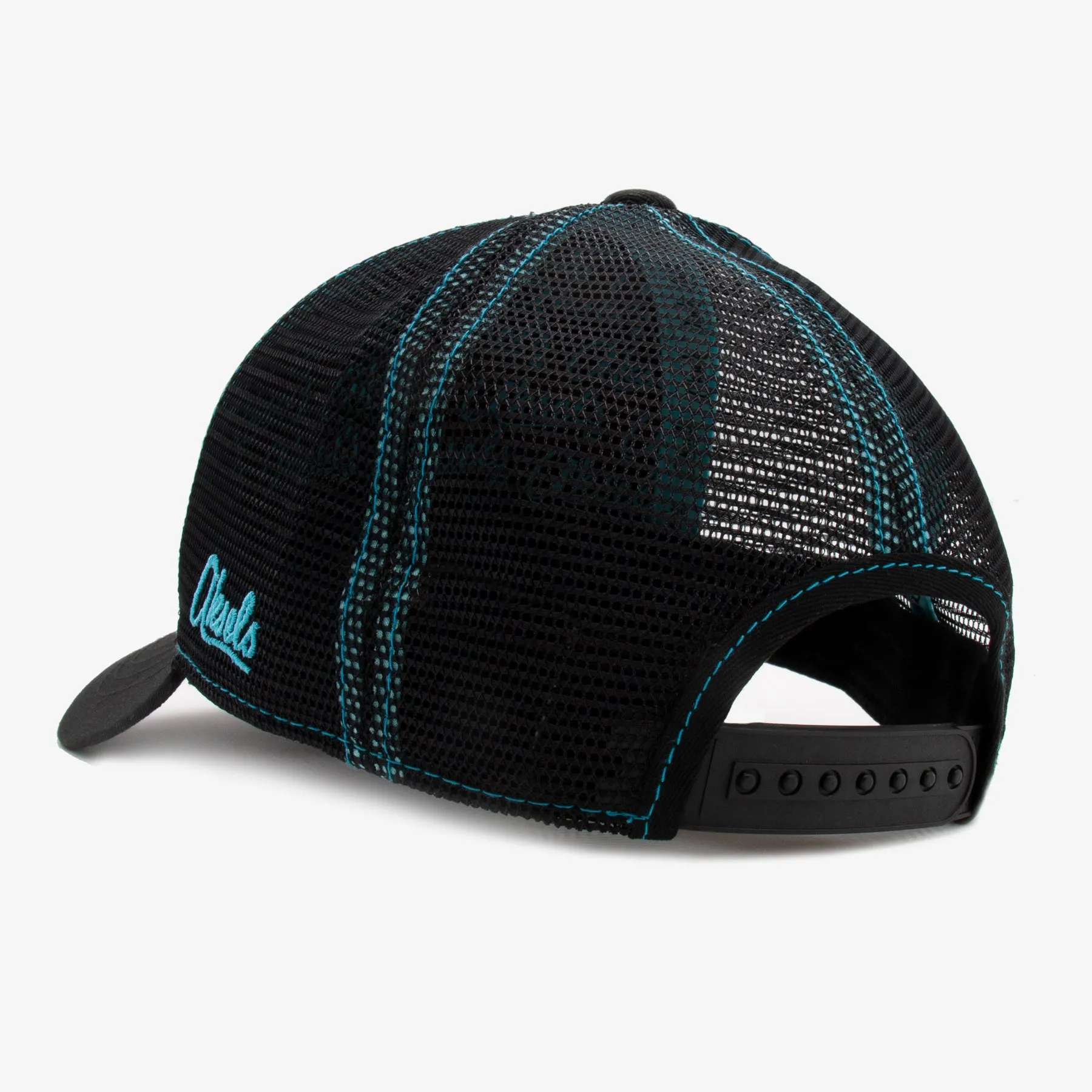 Low Pro Mountain Landscape Snapback Hat